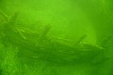 2009-08-02 10-12-45L